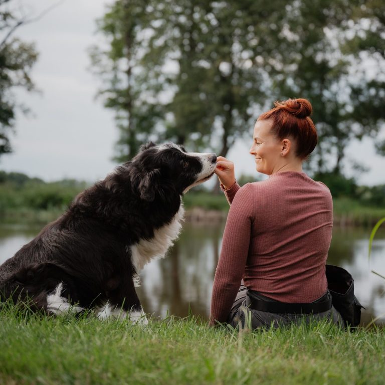 Belohnungsbasiertes Training Sandra Beck, Verhaltenstherapie, Kleintier, Training, Hundetraining, Katzentraining, trainieren, Freude, freudige Erwartung, Wohlbefinden, Sicherheit, positives Training, belohnungsbasiertes Training, Futterbelohnung, Leckerli, Hund, Katze, Verhaltensberatung, individuelle Beratung, Tierarzt, Tierärztin, Verhaltensberater, Tierpsychologe, Tiertrainer, unerwünschtes Verhalten, störendes Verhalten, Verhaltensstörung, Verhaltensproblem, Verhaltensauffälligkeit, Diagnose, Beratung, Therapie, Prophylaxe, Medikamente, Psychopharmaka, Angst, Trennungsangst, aggressives Verhalten, Verteidigung von Ressourcen, Zwangsverhalten, Zwangsstörung, Schwanzjagen, Fliegenschnappen, dauerhaftes Lecken, Bellen, Beißen, Zwicken, Zerstören, Anspringen, Hochspringen, Unruhe, unruhiges Verhalten, Hyperaktivität, unerwünschtes Jagdverhalten, Jagen, Depression, Apathie